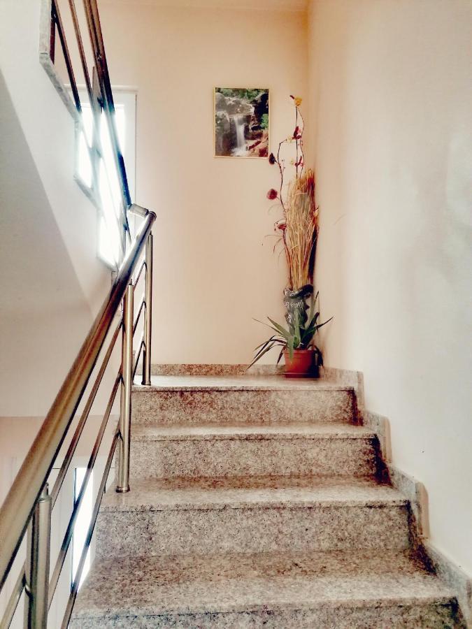 Apartment Daiv Sapareva Banya Bagian luar foto
