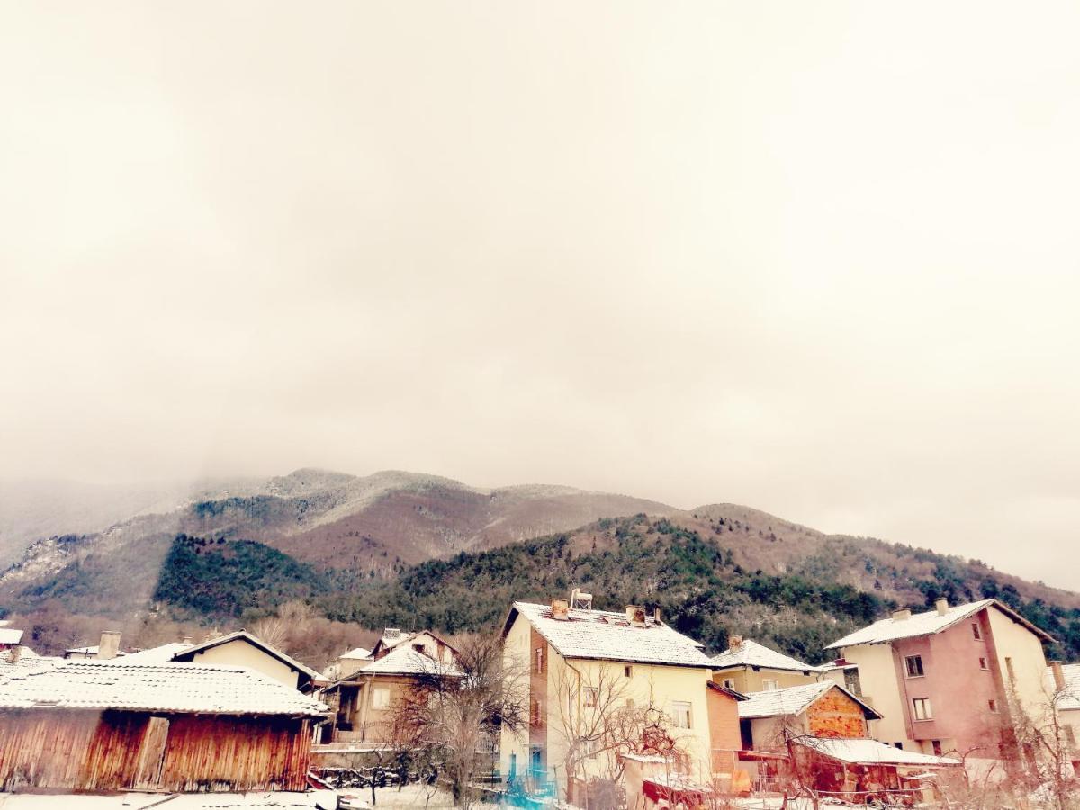 Apartment Daiv Sapareva Banya Bagian luar foto